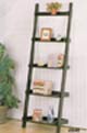 ladder book shelve